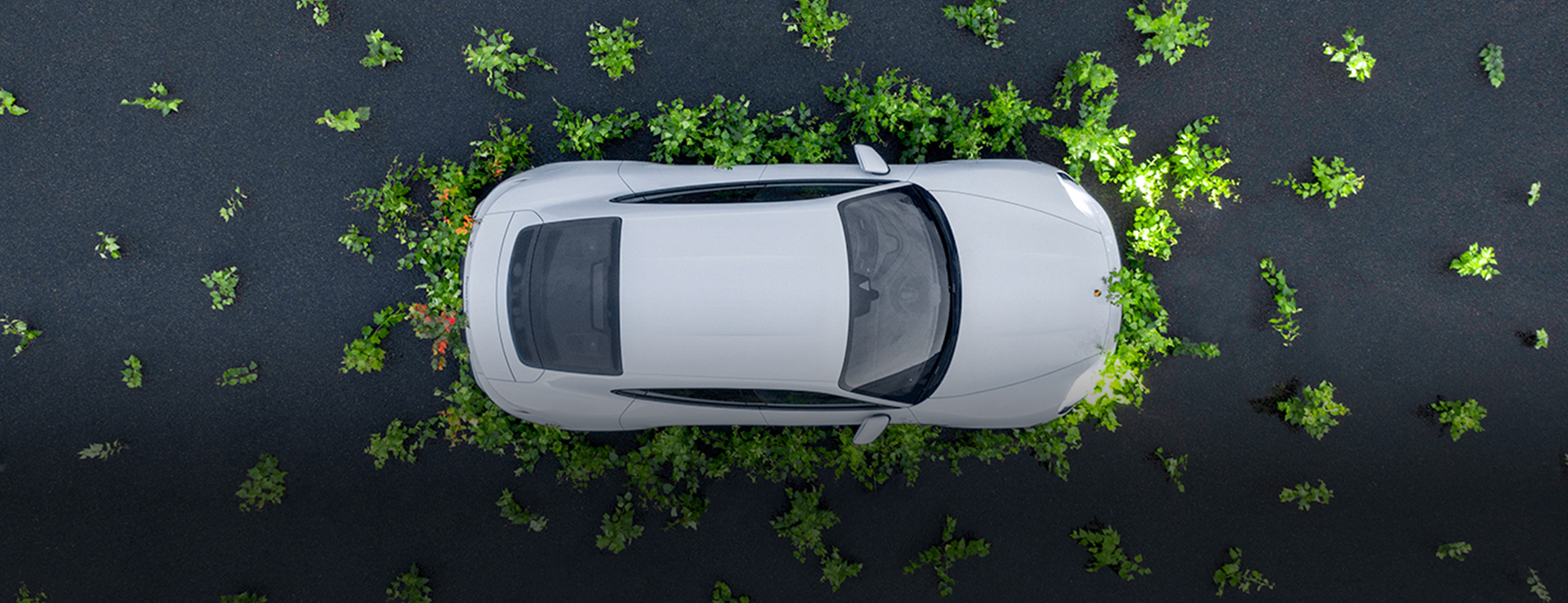 Aerial image Porsche Taycan car surrounded by trees headlights on