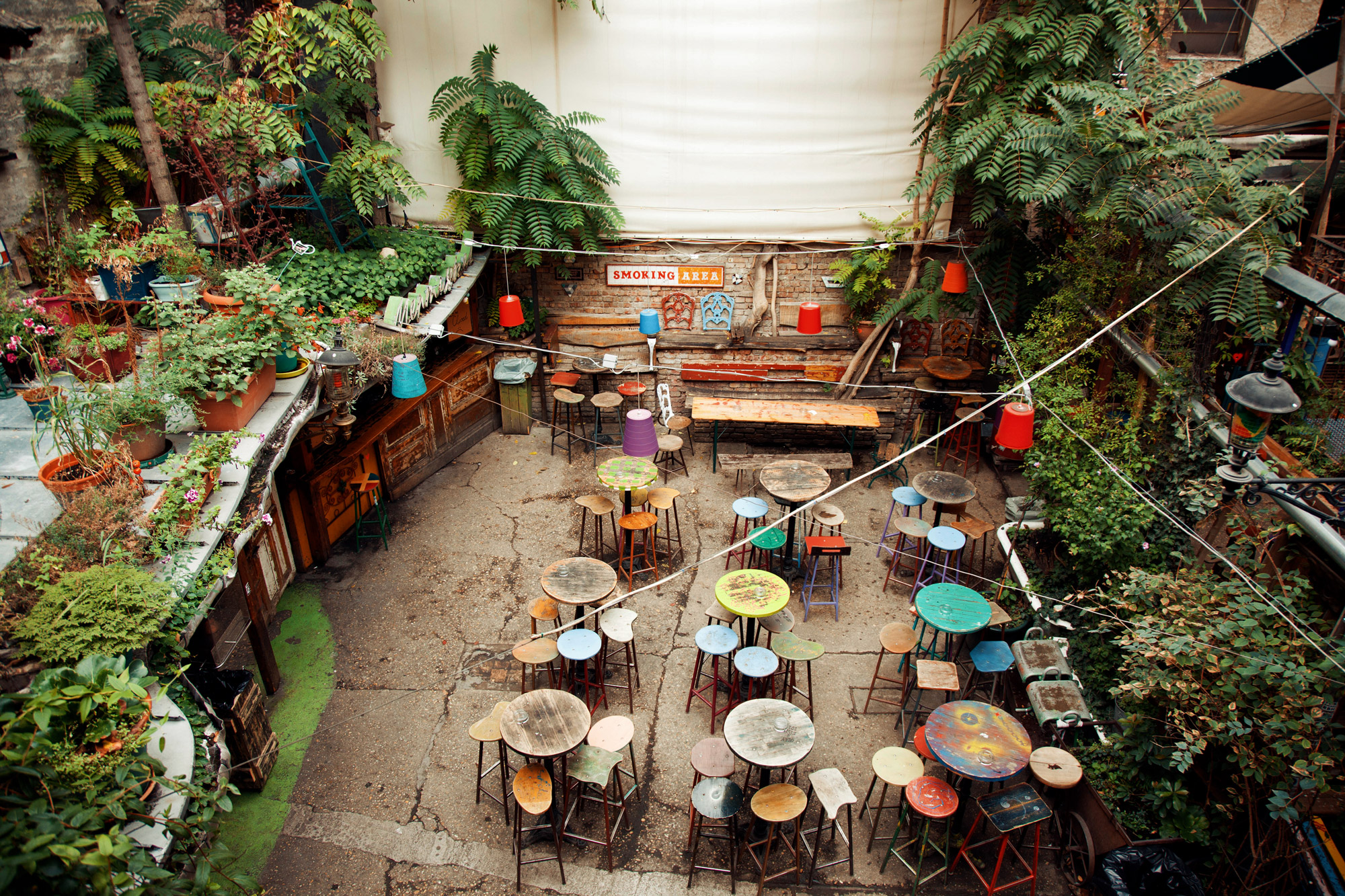 Unique unusually decorated bar with plants and vintage furniture