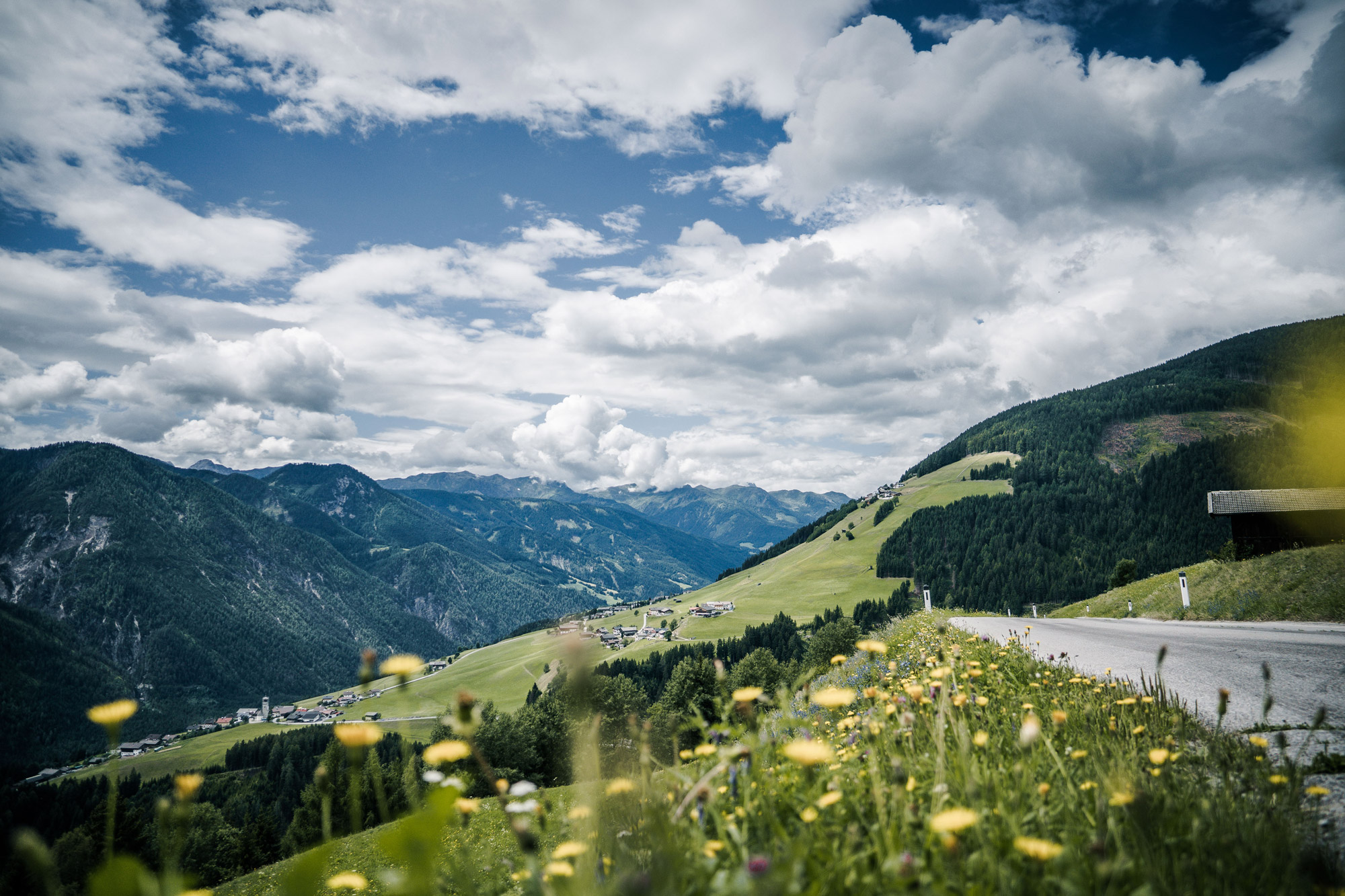 Road in alpine landscape