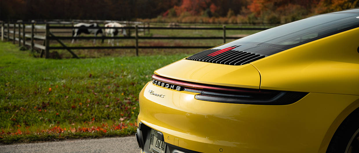 Back of yellow Porsche 911 in front of cows