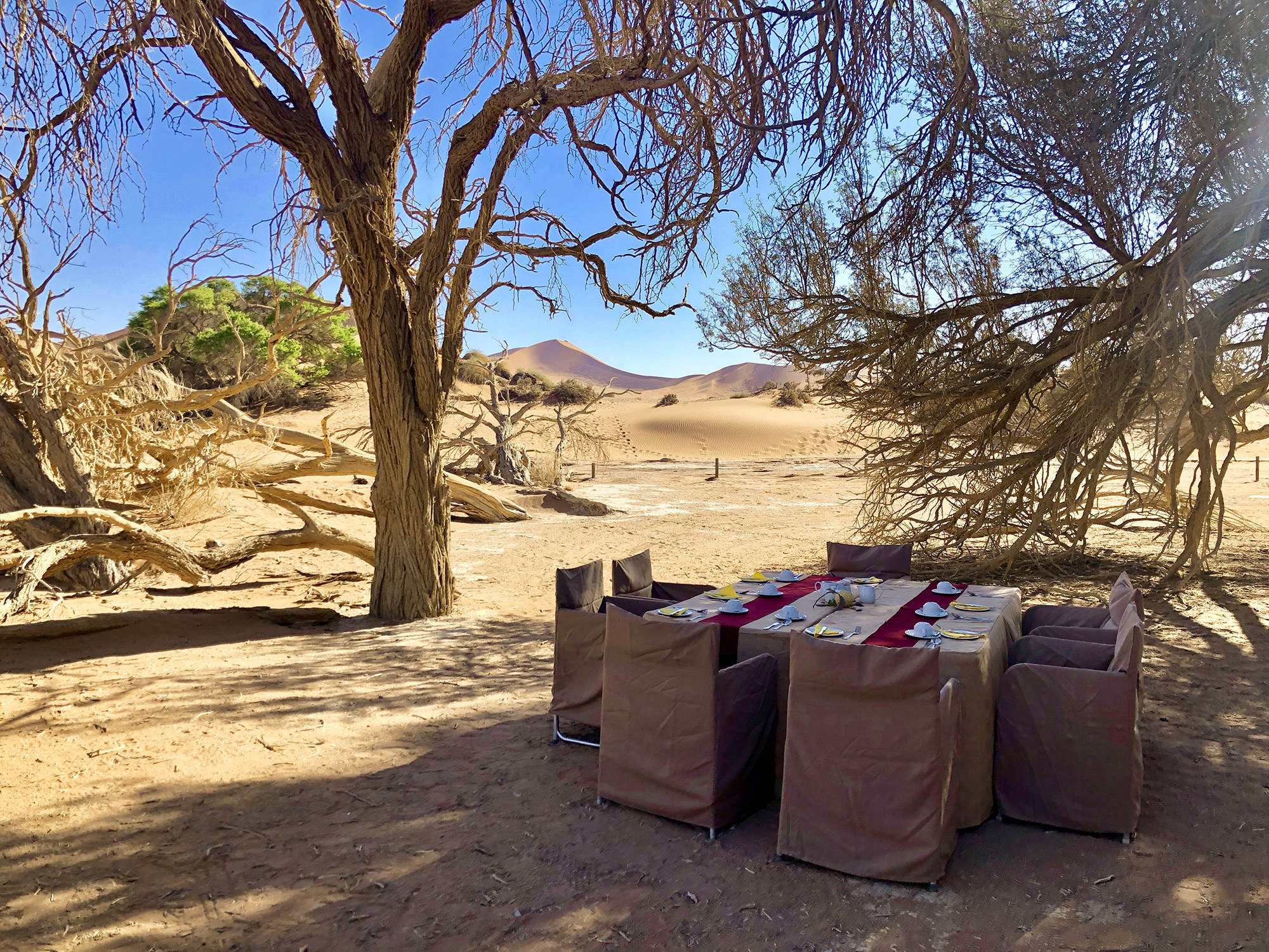 Table set in the shade of trees in the desert