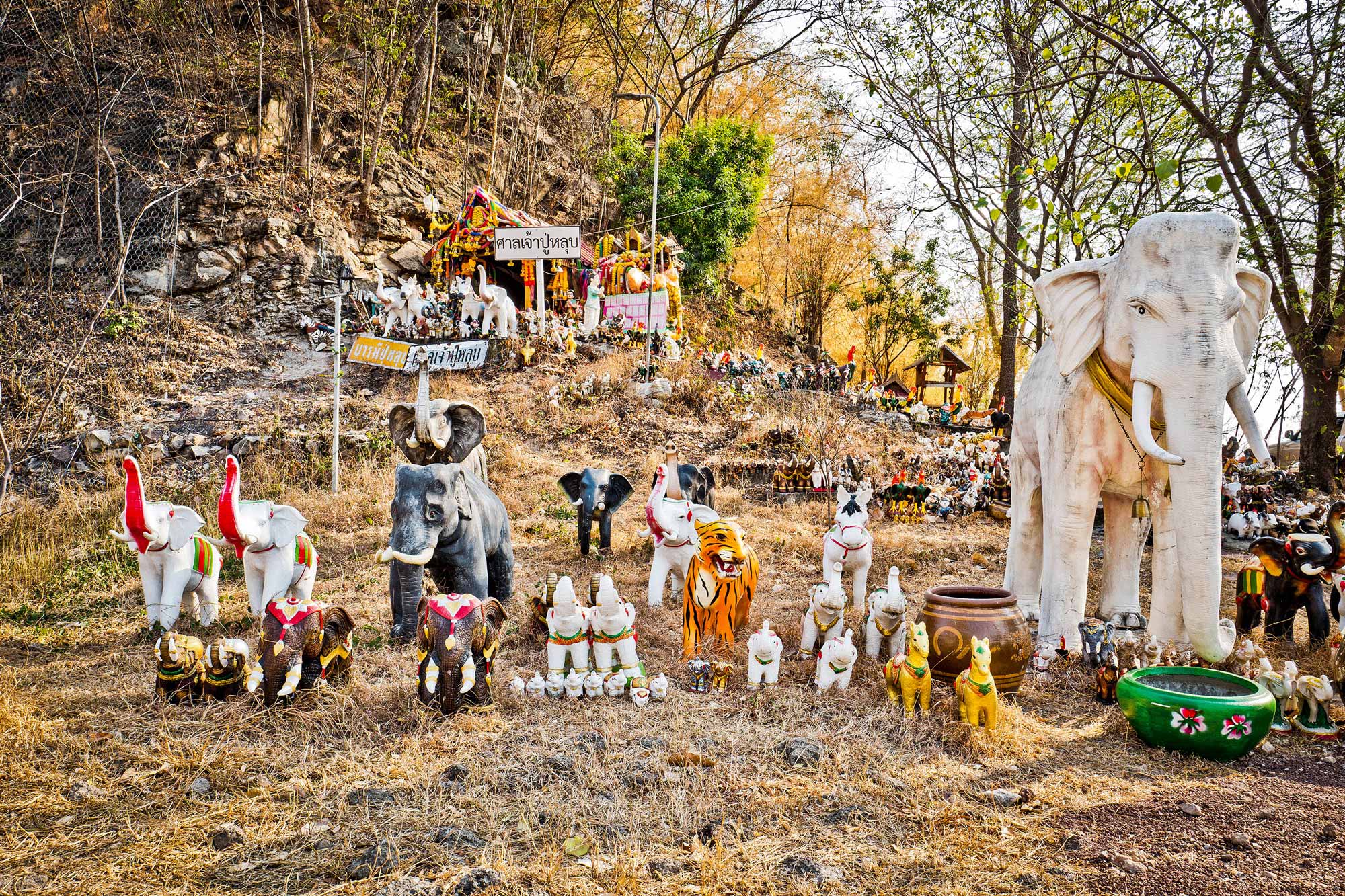 Elephant figures displayed in a forest in Ayutthaya