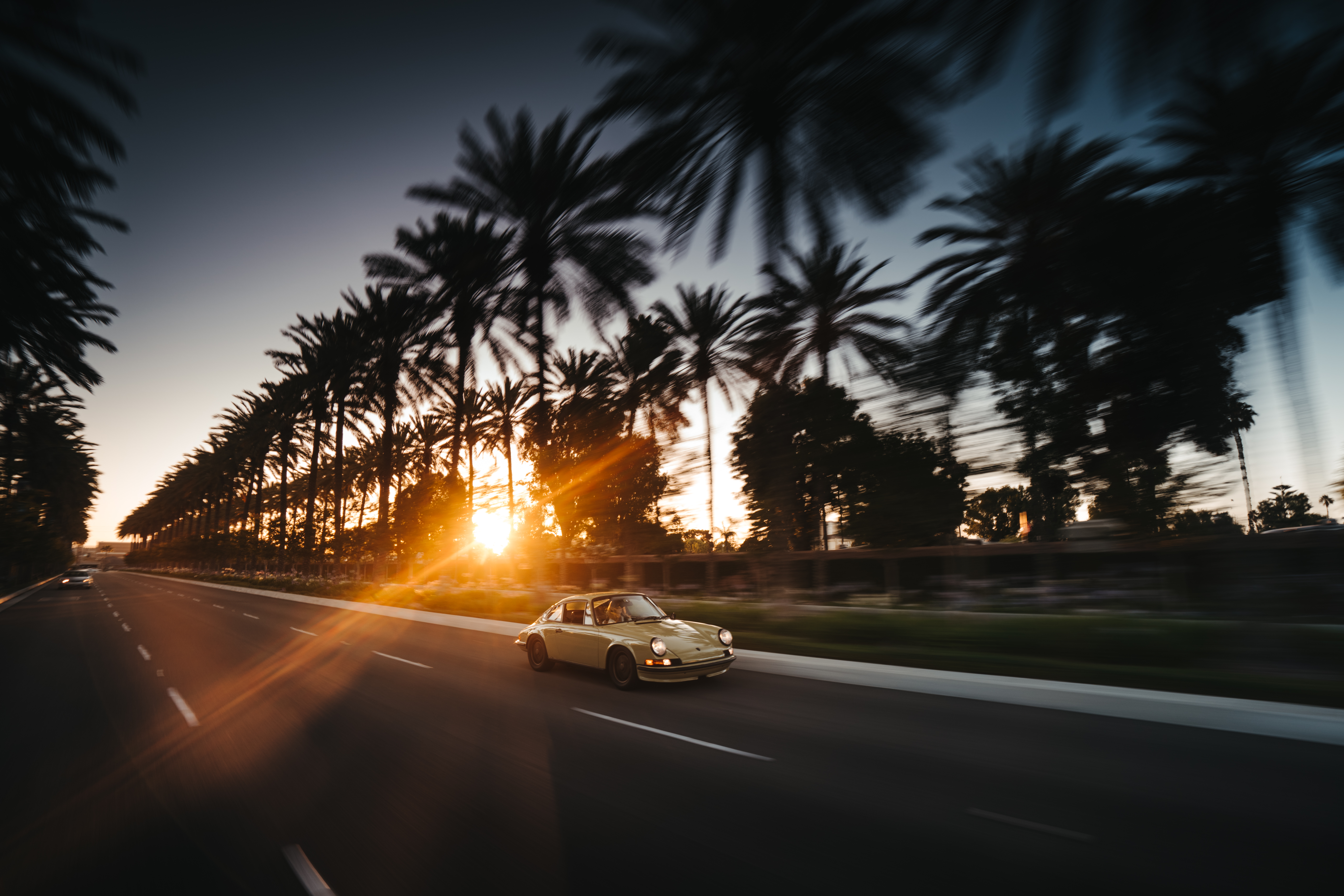 Yellow 911 T on road lined with palm trees