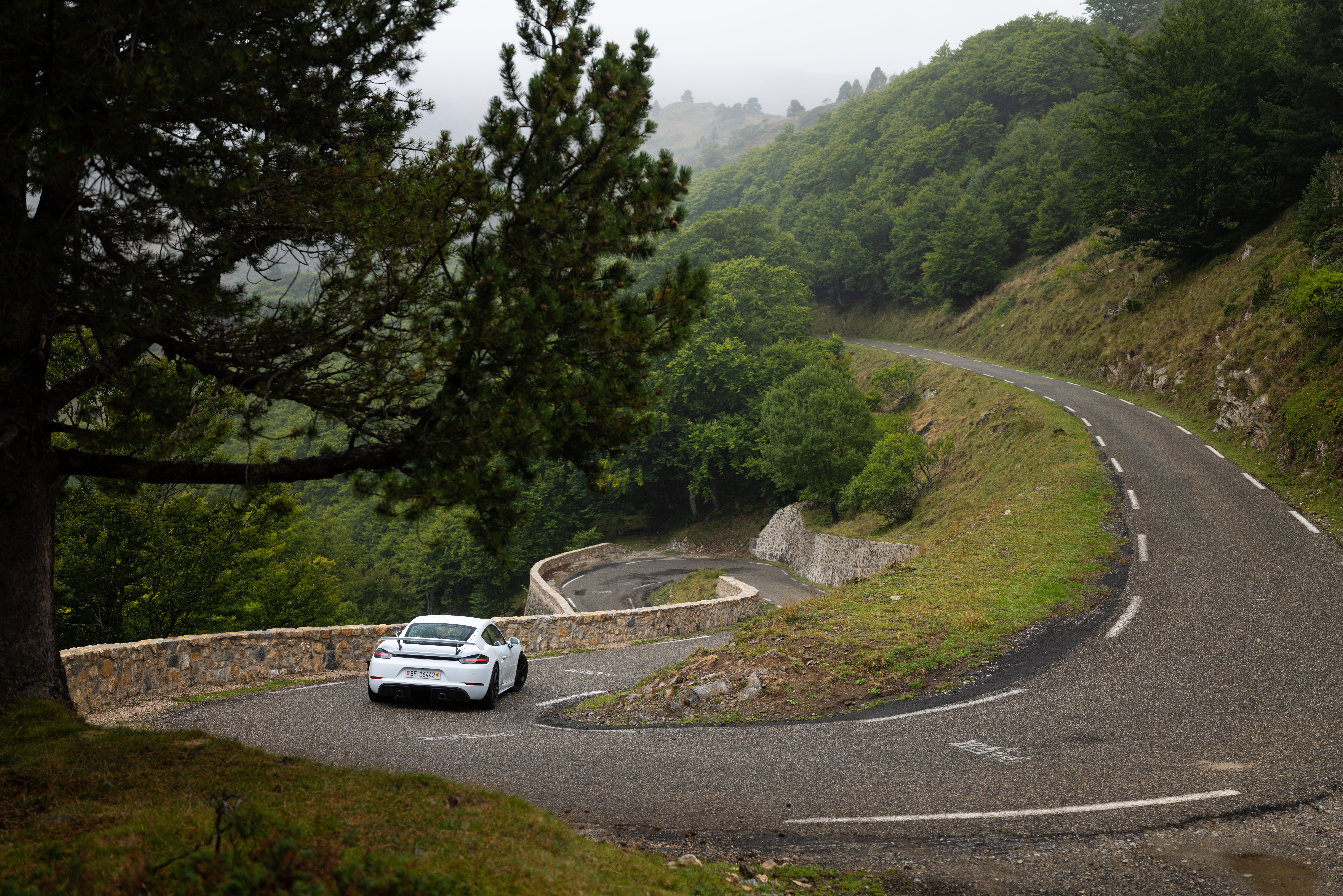 White Porsche 718 Cayman GT4 on twisting, tree-lined road