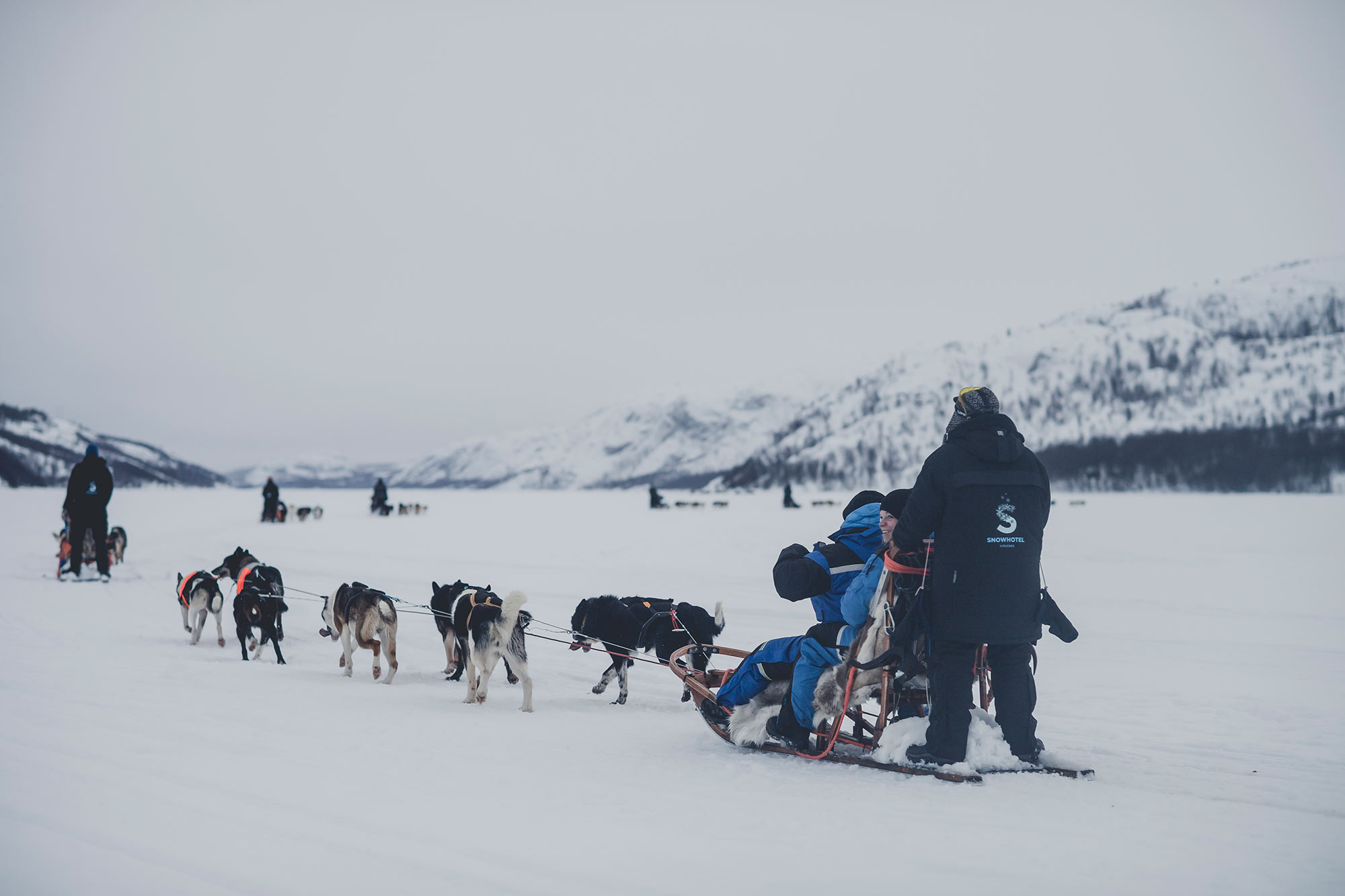 Sled dogs pulling their team through the winter landscape