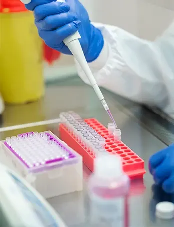 Estudios de laboratorio, gabinete y especiales