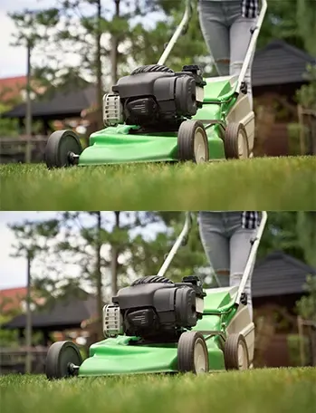 Oportunidades Únicas: Maquinaria para Jardín