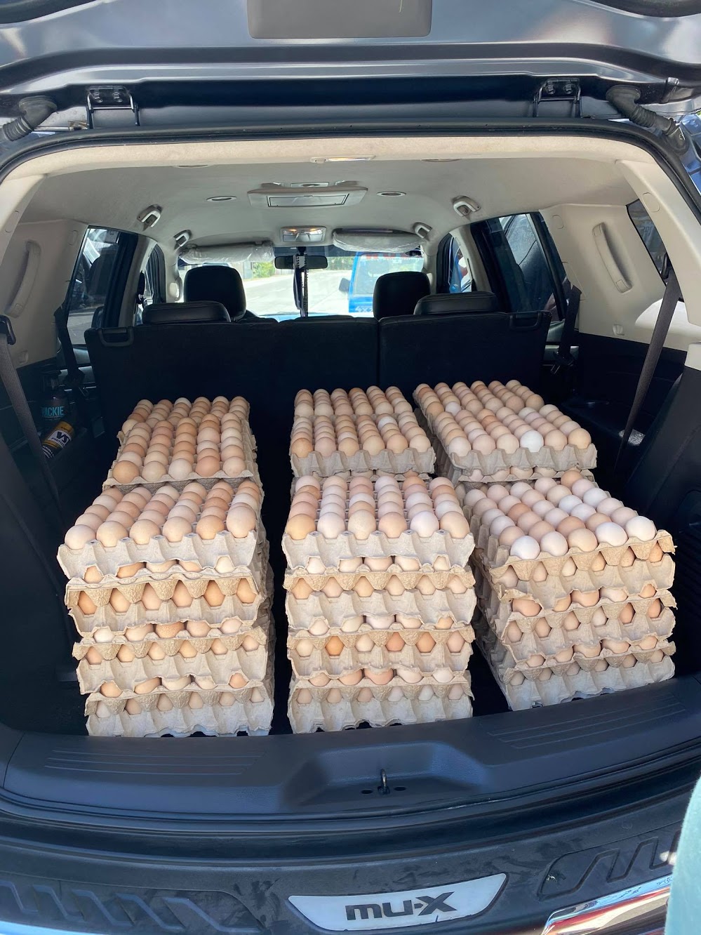 93276903 969788886771000 7971679835061747712 n