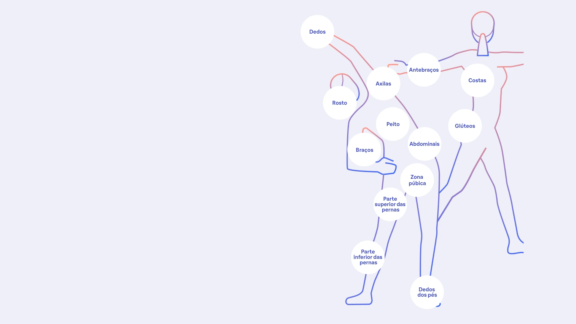 Um gráfico que mostra todas as partes do corpo onde se pode usar a IPL