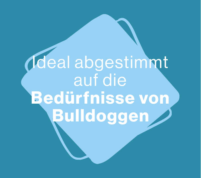 Bedürfnisse von Bulldoggen