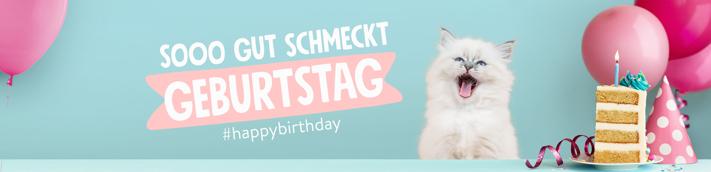 221125-CDP-Header-Desktop-birthday-cat-01