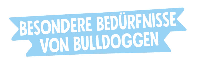 besondere bedürfnisse von bulldoggen