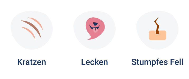 PNJ-symptoms-mobile-cat-skin-fur-250910