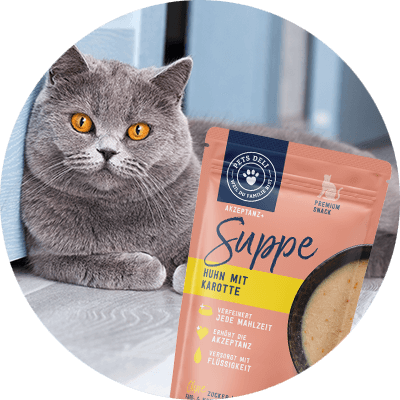 PDP-Buuble-Katze-Suppe-Huhn-600px