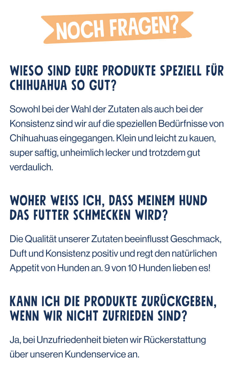 Chihuahua noch fragen