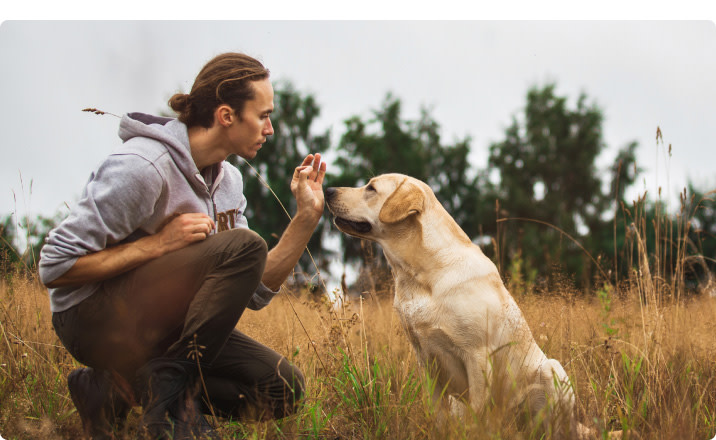 PD-Doguniversity-Mobile-03-Image-Benefits-250807