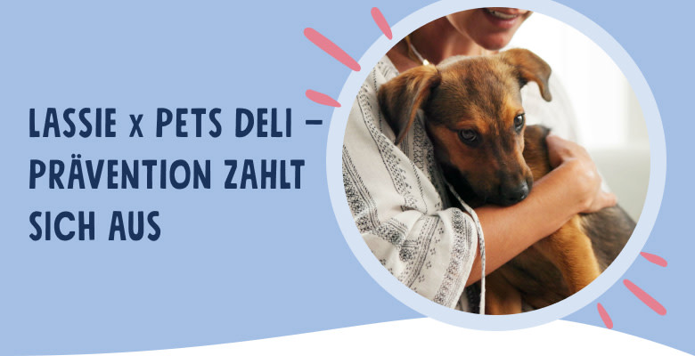 PD-Lassie-Mobile-01-Header-DE-250806