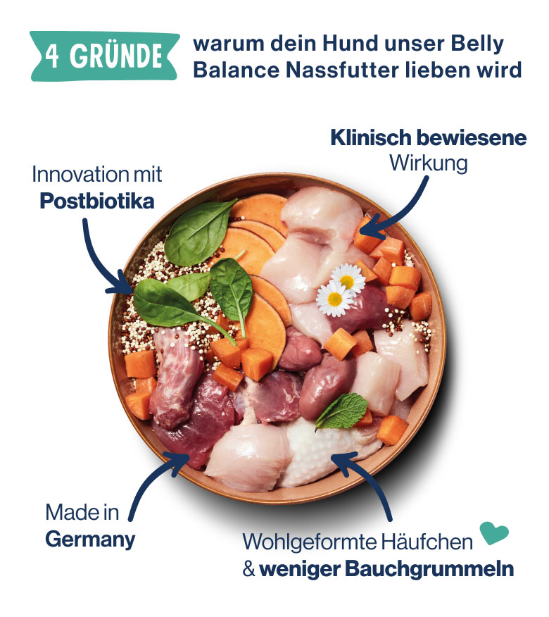 pd-lp-dog-nafu-belly-balance-04-bowl-240205