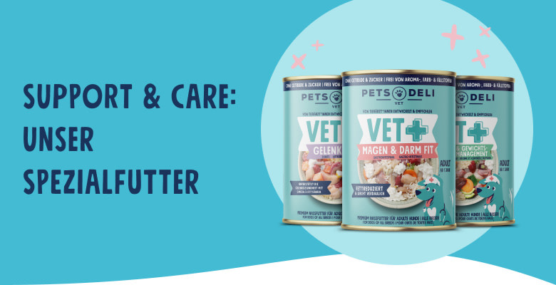 CDP-Dog-VET-header-mobile-250717