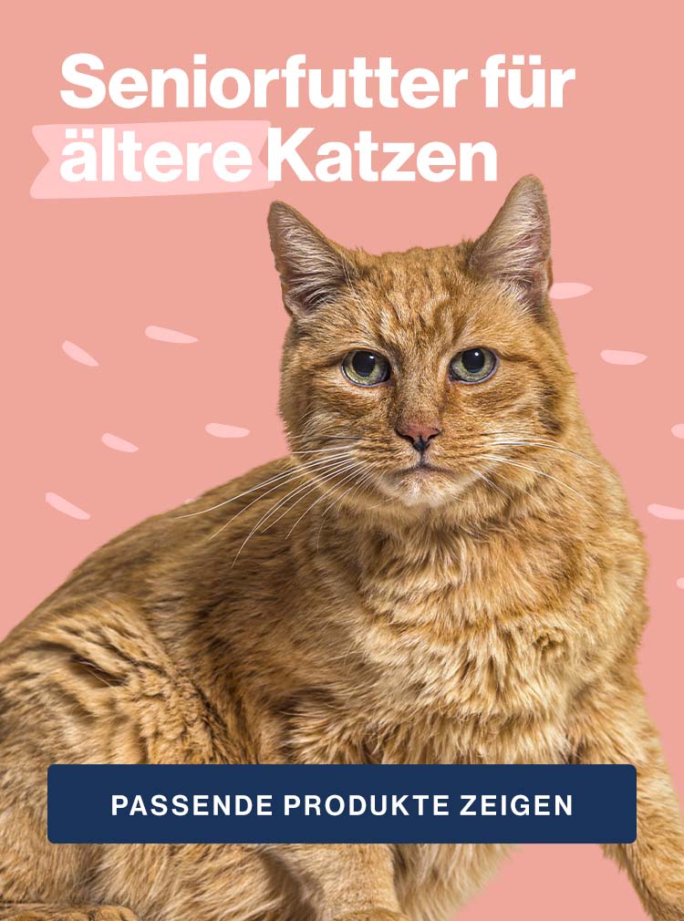 Bekömmliches Futter für Katzen Senior Pets Deli