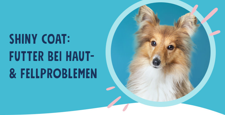 PNJ-header-mobile-dog-skin-fur-DE-250912