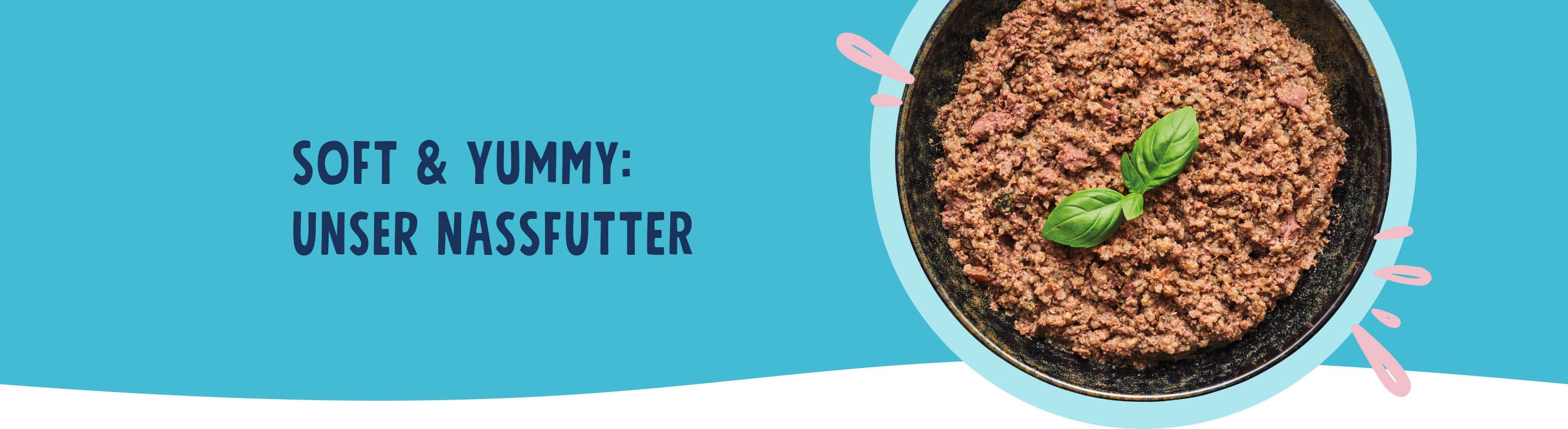 Pets Deli Nassfutter Mit Lachs & Gemüse – Ohne Zucker, Ohne Gluten, 6x750g – Gesundes Hundefutter
