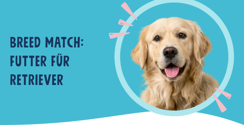 PNJ-header-mobile-dog-retriever-DE-250912