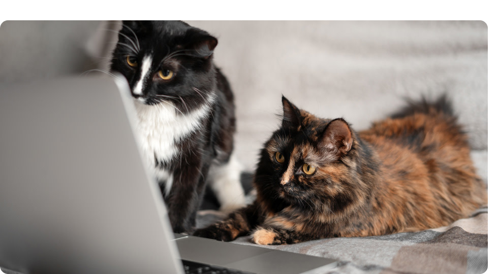 PD-Reward-Program-Desktop-02-Image-250916