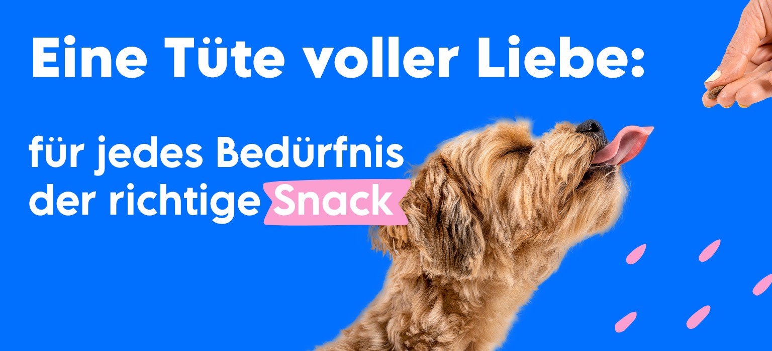 CDP-LP-Opt-Header-DOG-Mobile-snacks