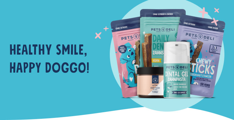 PD-CDP-Healthy-Smile-Dog-Mobile-250728