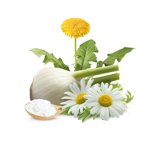 soft-bites-belly-plus-251114