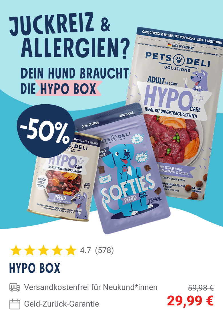 PD-LP-dog-hypo-box-01-header-top-250903