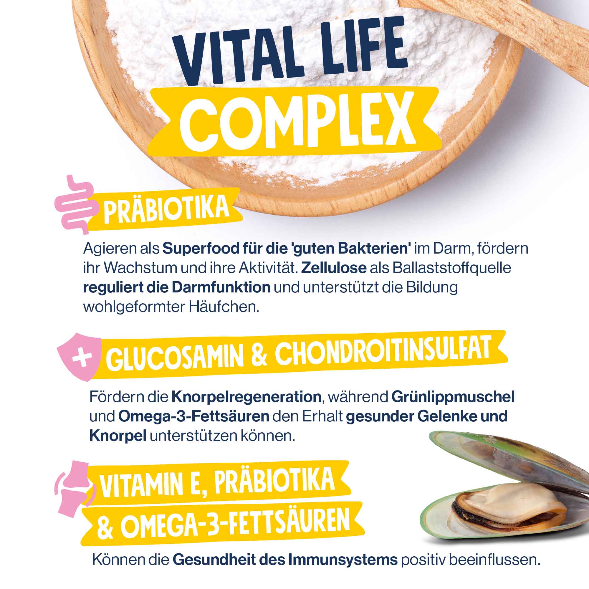 pd-hund-nafu-senior-huhn-vital-complex