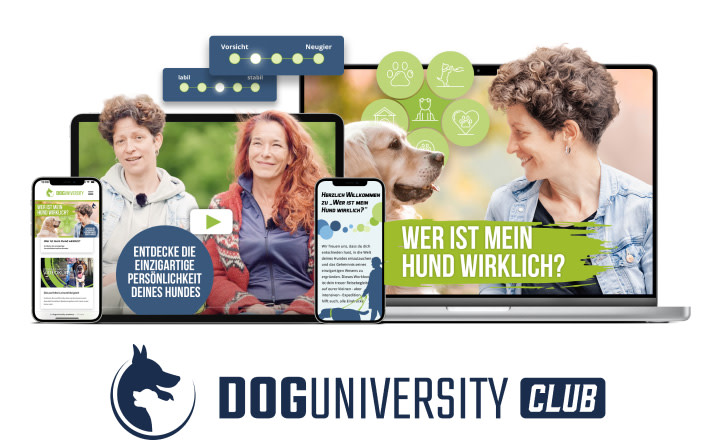 PD-Doguniversity-Mobile-02-Image-Probemonat-250807