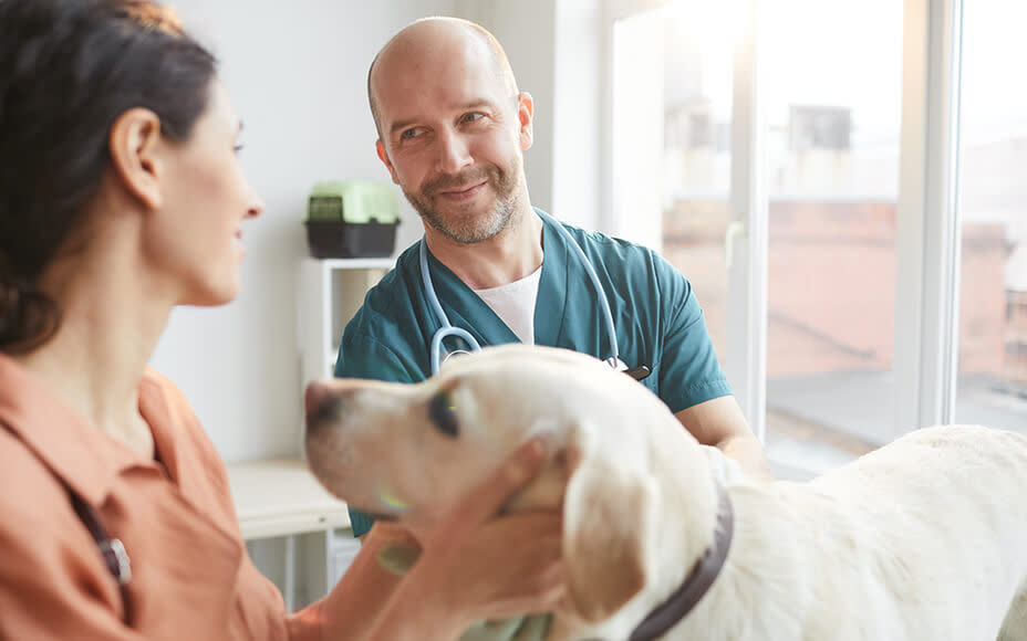 Tierarzt spricht mit Halterin und Hund