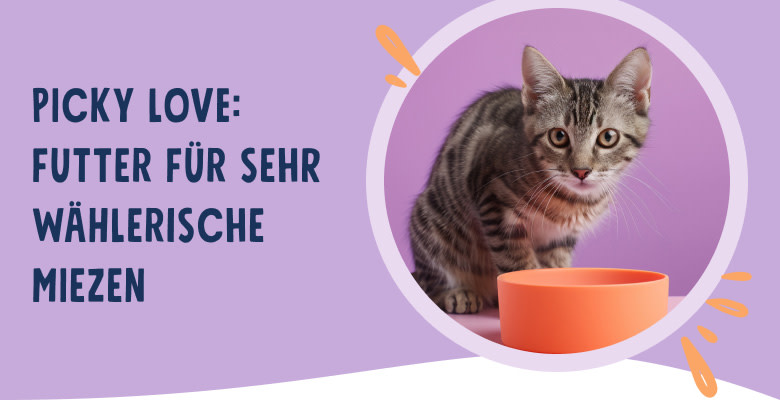 PNJ-header-mobile-cat-picky-eater-DE-250912