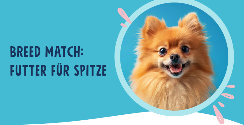 PNJ-header-mobile-dog-spitz-DE-250912