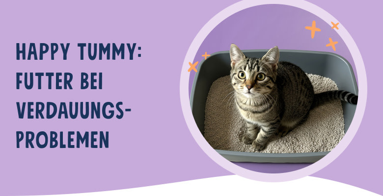 PNJ-header-mobile-cat-digestion-DE-250912