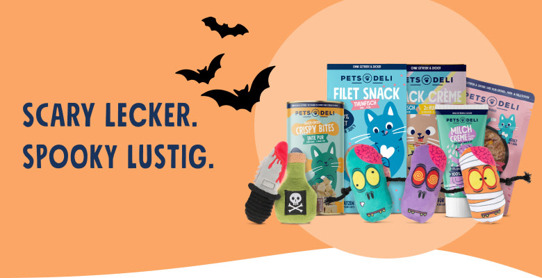 PD-CDP-header-mobile-cat-halloween-250924