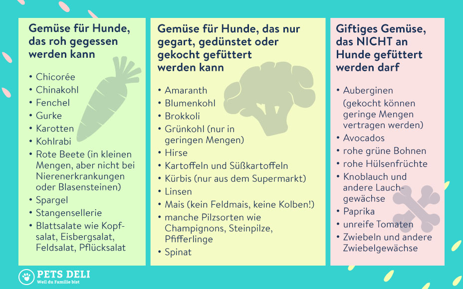 Diese 19 Lebensmittel sind giftig für deinen Hund Pets Deli