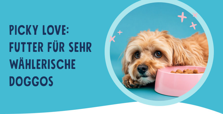 PNJ-header-mobile-dog-picky-eater-DE-250912