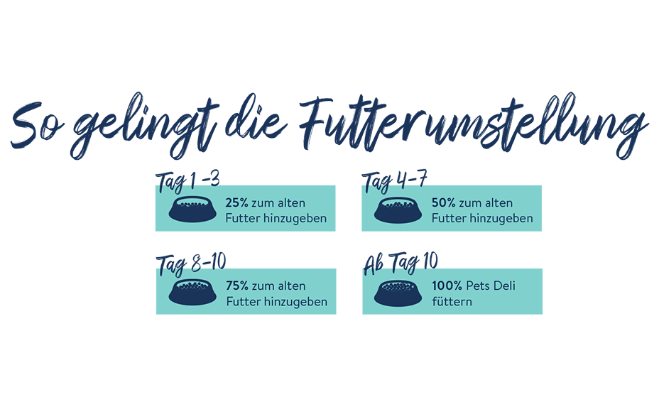 Futterumstellung bei Hunden Schritte