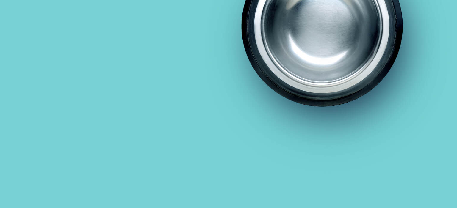 PD-CDP-MobileHeader-Generic-Leere-Merkliste