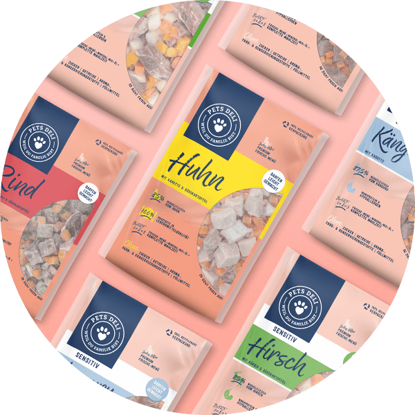 Nassfutter, Trockenfutter oder BARF - was soll ich meiner Katze füttern