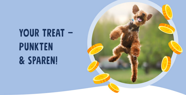 PD-Reward-Program-Mobile-01-Header-DE-250916