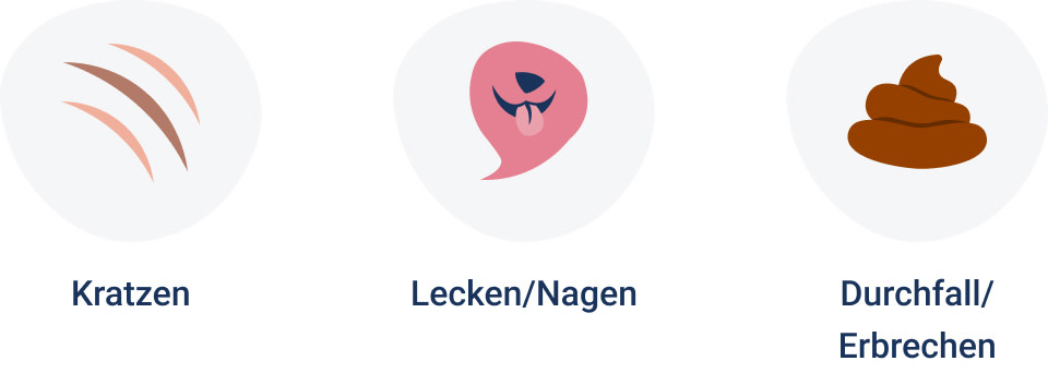 PNJ-symptoms-desktop-cat-allergies-250910