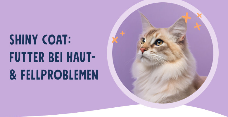 PNJ-header-mobile-cat-skin-fur-DE-250912