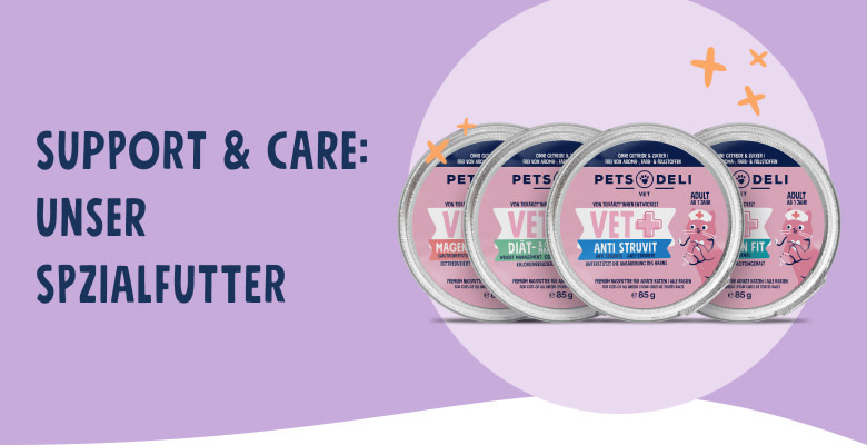CDP-CatVET-header-mobile-250808