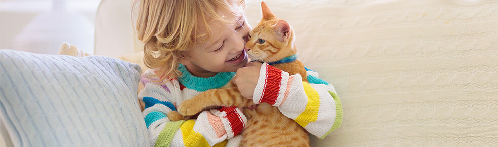 Header-Besten-Katzen-fuer-Kinder