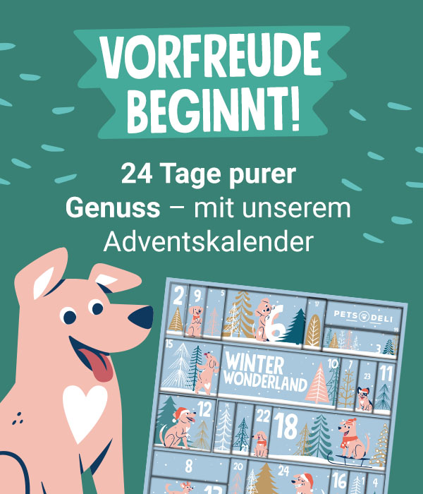 PD-CDP-adtile-desktop-advent-calendar-launch-dog-240917